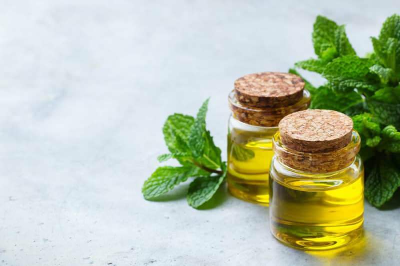 Bagaimana minyak peppermint dibuat? Tips membuat minyak peppermint