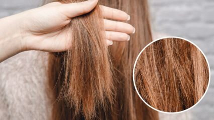 Apa yang harus dilakukan dengan rambut yang terbakar dari orya? Bagaimana cara merawat rambut yang dirawat?