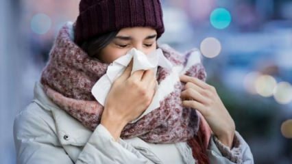 Apa yang menyebabkan hidung kering?