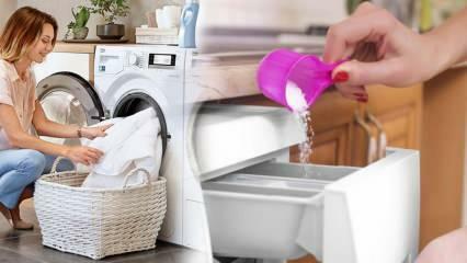 Deterjen apa yang terbaik untuk kulit putih? Rekomendasi deterjen laundry terbaik! Deterjen bubuk terbaik