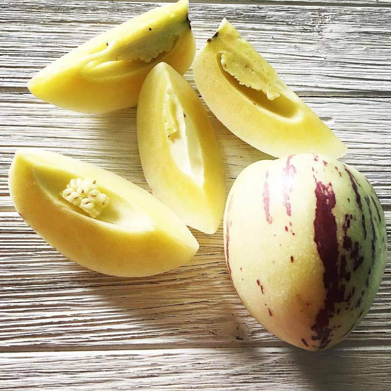 Apa manfaat buah pepino? Apakah ada konsumsi & Kehilangan buah Pepino