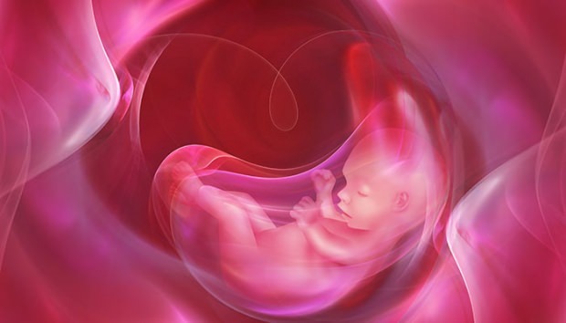 Apa itu Placenta Previa? Bagaimana perawatan tali pusat pada bayi? Jika tali pusat panjang ...