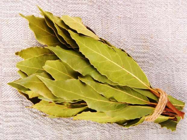 daun salam paling sering digunakan dalam kosmetik