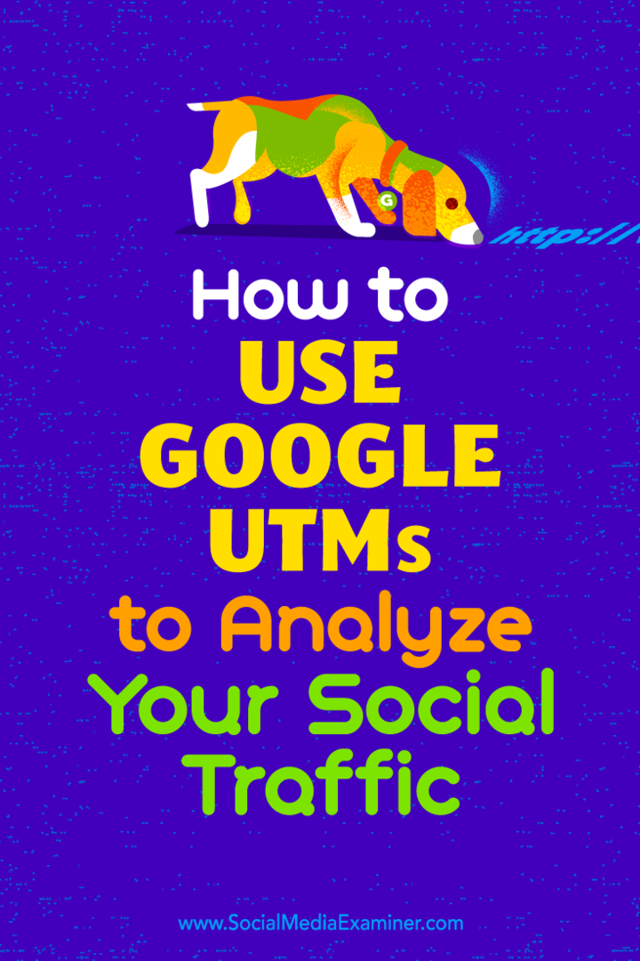 Cara Menggunakan Google UTM untuk Menganalisis Lalu Lintas Sosial Anda oleh Tammy Cannon di Penguji Media Sosial.