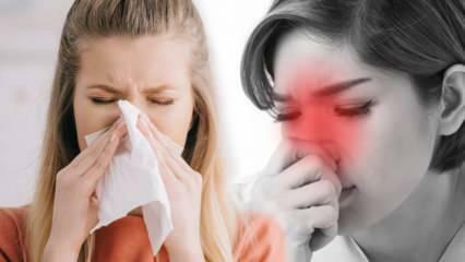Apa itu rinitis alergi? Apa saja gejala rinitis alergi? Apakah ada pengobatan untuk rinitis alergi?