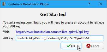 Masukkan Kunci API pada kotak dialog Plugin Customize BookFusion di Calibre