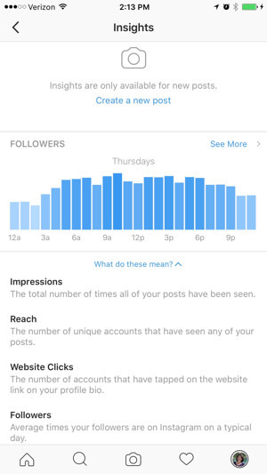 wawasan profil bisnis instagram