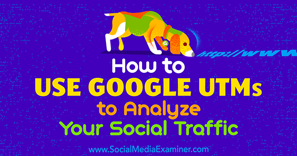 Cara Menggunakan Google UTM untuk Menganalisis Lalu Lintas Sosial Anda oleh Tammy Cannon di Penguji Media Sosial.