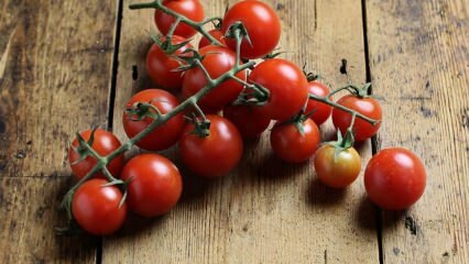 Bagaimana mencegah pembusukan tomat? Bagaimana cara mencegah ngengat tomat? 