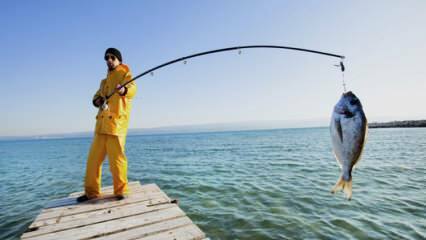 Bagaimana cara memancing? Apa saja trik memancing dengan joran?