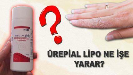 Apa itu krim lipo urepial, apa fungsinya? Apa efek sampingnya? Harga urepial lipo cream 2023