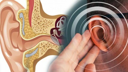 Penyakit telinga: Apa penyebab menier? Apa saja gejala Meniere? Apakah ada obatnya?