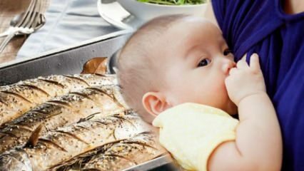 Bisakah ikan dimakan selama menyusui?
