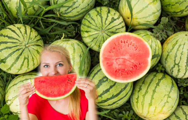 apa itu diet semangka