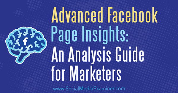 Wawasan Halaman Facebook Tingkat Lanjut: Panduan Analisis untuk Pemasar oleh Jill Holtz di Penguji Media Sosial.