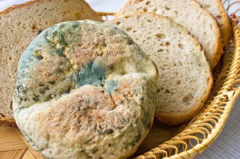 Cara mencegah roti basi dan berjamur