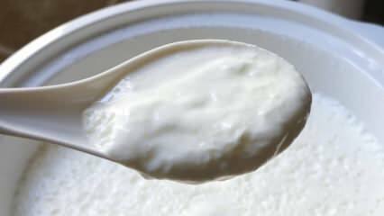 Apa cara mudah untuk menyeduh yogurt? Membuat yogurt seperti batu di rumah! Manfaat yogurt rumahan