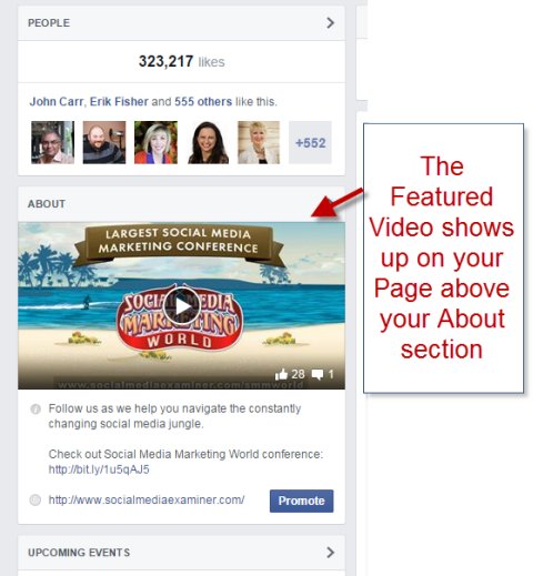 penguji media sosial menampilkan video pada margin halaman facebook