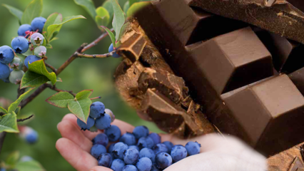 Makanan apa sajakah yang baik untuk pelupa? Manfaat blueberry dan rasa pahit dalam memori ...