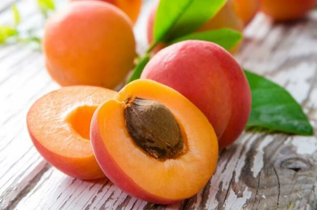 Apa manfaat makan aprikot dengan perut kosong? Pelangsingan dengan teh bentuk aprikot