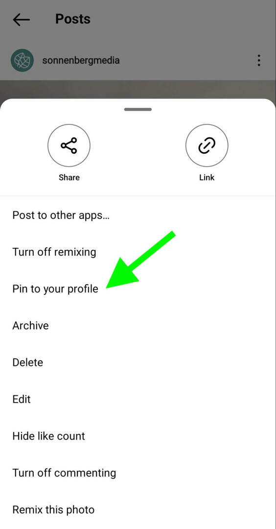 cara-instagram-pin-posting-profil-grid-sonnenbergmedia-langkah-1
