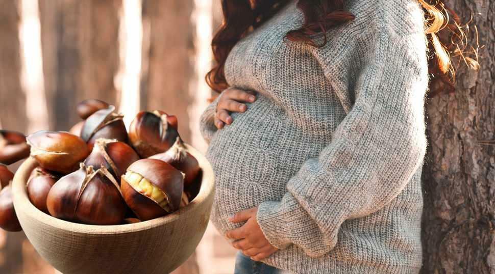  Bolehkah ibu hamil makan chestnut?