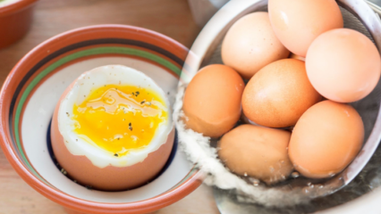 Apa manfaat telur rebus? Apa yang terjadi jika Anda makan dua telur rebus sehari?