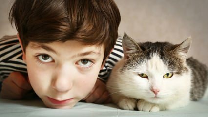 Apa efek hewan peliharaan pada anak-anak?