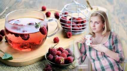 Teh yang memfasilitasi kelahiran: Raspberry! Manfaat teh raspberry untuk ibu hamil