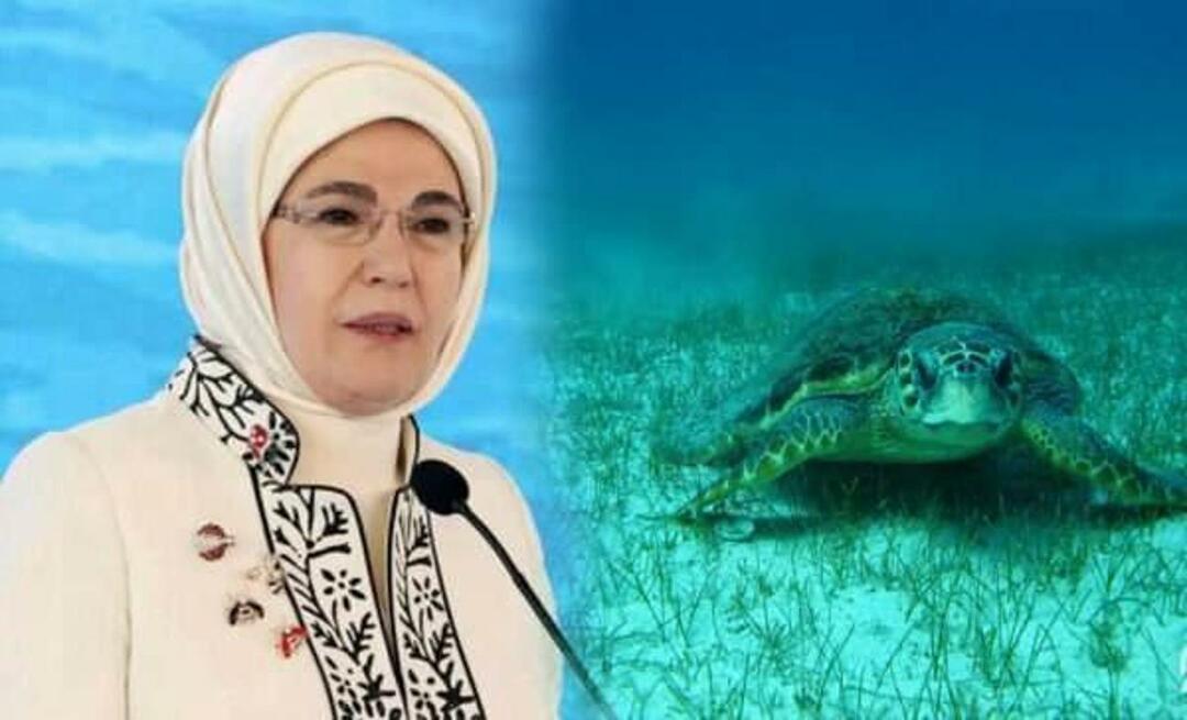 Berbagi "penyu laut" dari Emine Erdoğan: "Selama kita melindungi mereka, mereka akan terus hidup"