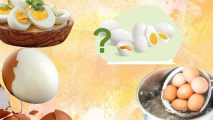 Diet Telur Rebus! Apakah telur membuat Anda kenyang? 12 kg dalam seminggu 