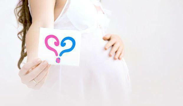 Kapan jenis kelamin bayi paling awal dan pasti? Siapa yang menentukan jenis kelamin?
