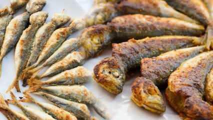 Bagaimana cara makan makarel kuda dan cara memasaknya? Resep panci mackerel kuda termudah