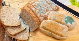 Bagaimana cara mencegah cetakan roti di bulan Ramadhan? Cara agar roti tidak basi dan berjamur
