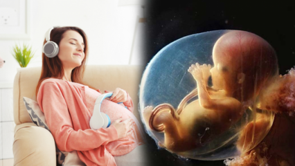 Suara bayi yang paling terpengaruh di dalam rahim ibu! Apa yang dipelajari dan dilakukan bayi di dalam rahim ibunya?
