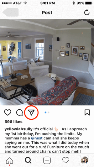Jika Nest ingin menghubungi pengguna Instagram ini untuk meminta izin menggunakan konten mereka, mereka dapat memulai komunikasi dengan mengetuk ikon pesan langsung.
