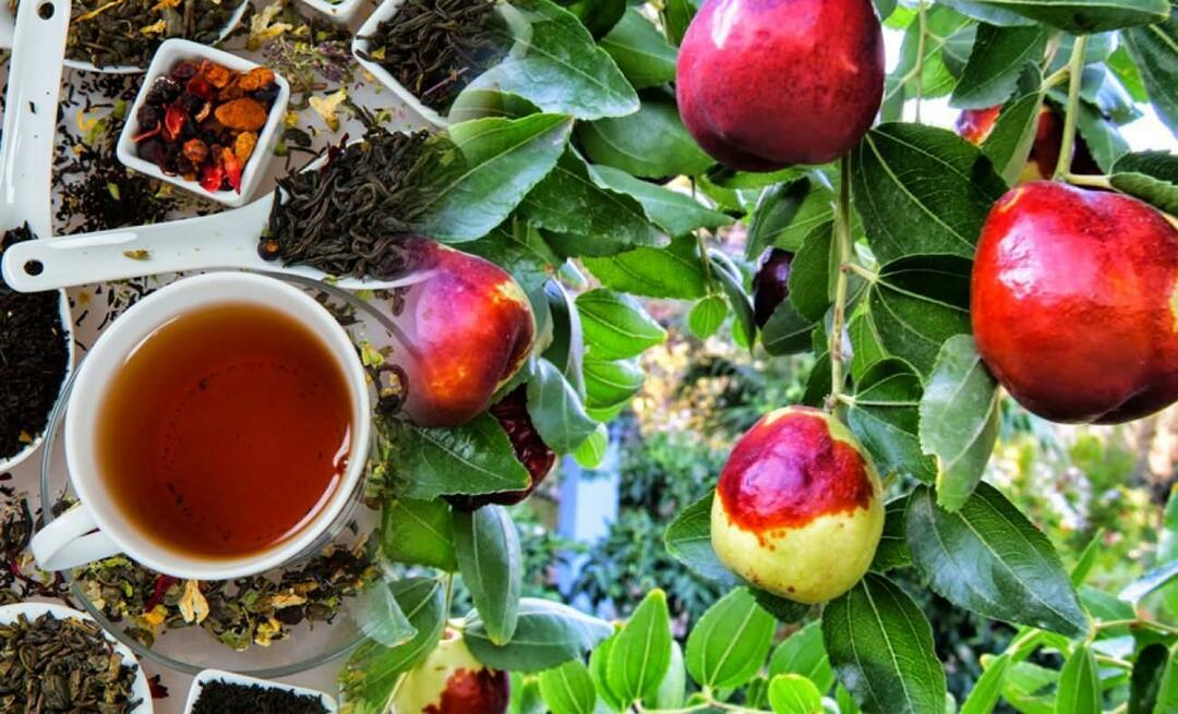 Apa saja manfaat teh jujube yang direkomendasikan Ibnu Sina? Apa manfaat teh jujube?