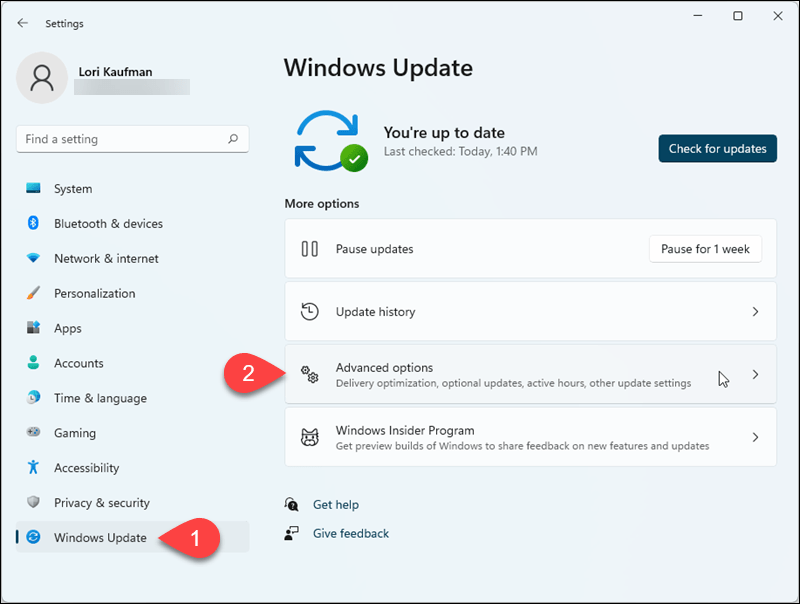 Buka Pembaruan Windows> Opsi lanjutan di Pengaturan Windows 11