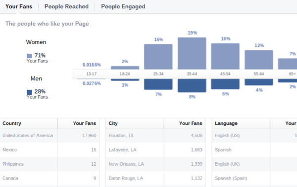 facebook insights demografi penonton