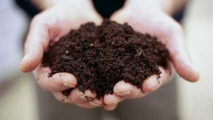Bagaimana mencegah cetakan tanah pot?