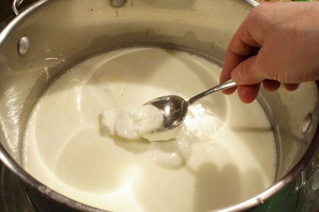 Apa yang harus dilakukan dalam yoghurt