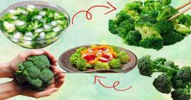 Musim dan bulan apa brokoli tumbuh? Kapan makan brokoli? 
