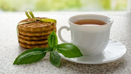 Apa manfaat kemangi? Di mana kemangi digunakan? Bagaimana cara membuat teh basil?