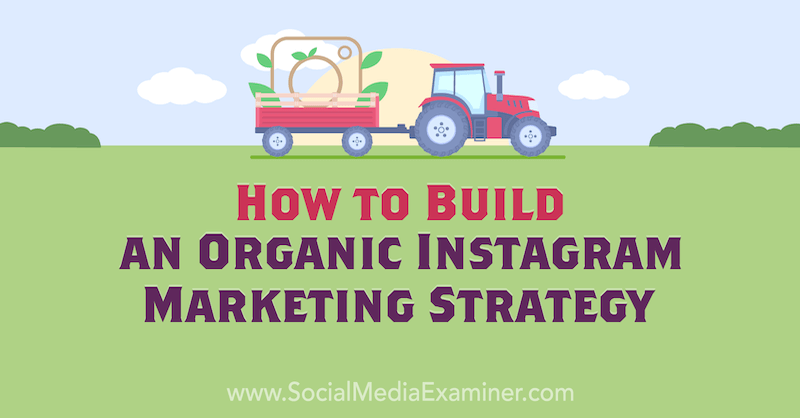 Cara Membangun Strategi Pemasaran Instagram Organik oleh Corinna Keefe di Penguji Media Sosial.