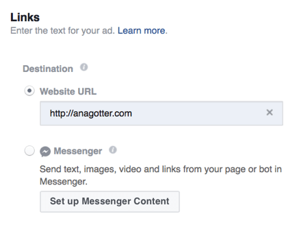 Masukkan URL yang tepat di mana Anda ingin mengirim pengguna dari iklan cerita Instagram Anda.