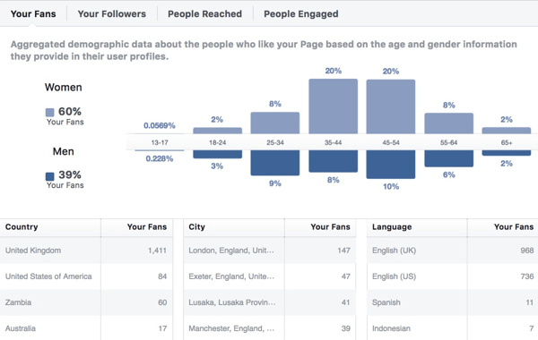 Data demografi audiens Facebook Insights.
