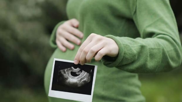 Organ mana yang berkembang pertama kali pada bayi? Perkembangan bayi dari minggu ke minggu