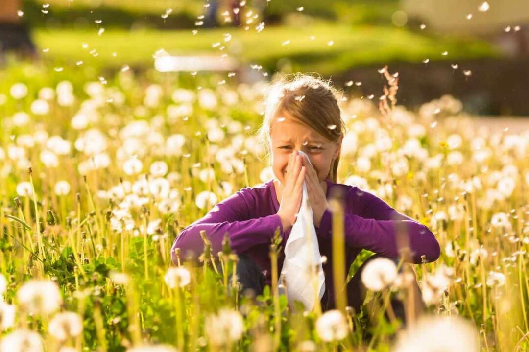 Apa yang perlu diperhatikan untuk melindungi anak dari alergi musiman