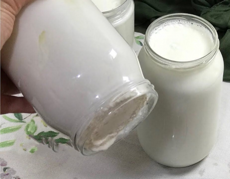 Apa cara mudah untuk menyeduh yogurt? Bagaimana cara membuat yogurt praktis di rumah? Yogurt seperti batu dalam toples