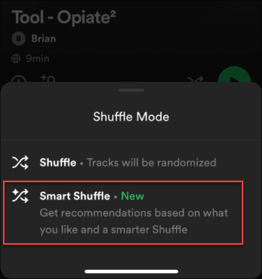 perbaiki Spotify Shuffle tidak mengocok